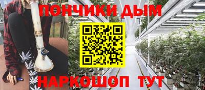 МДПВ Дубна