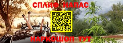 МДПВ Дубна